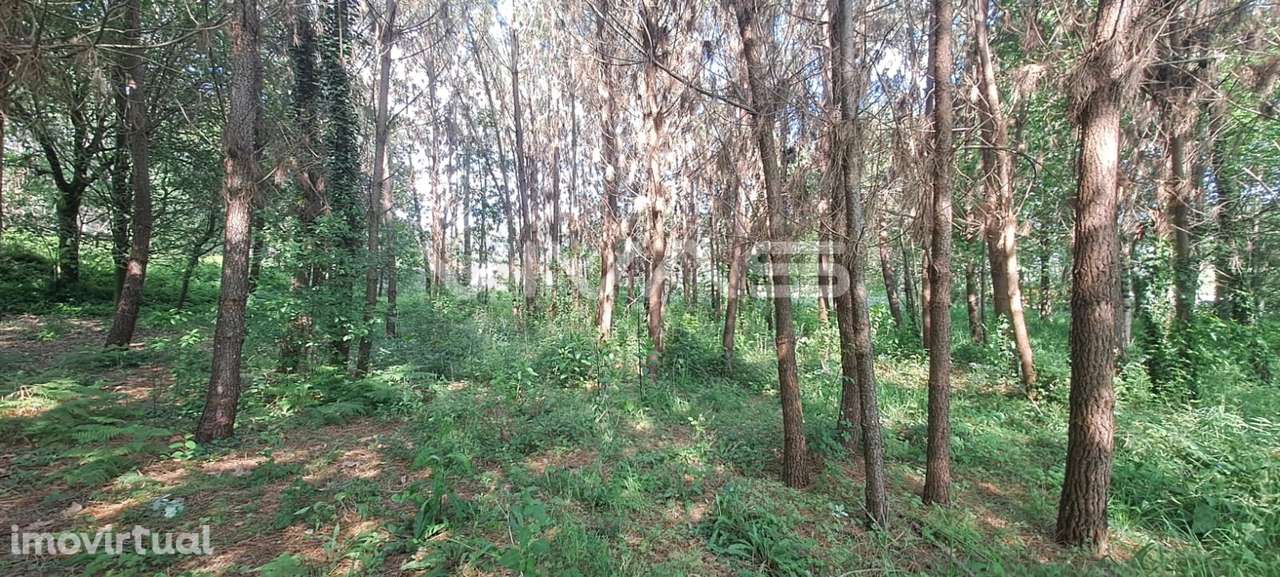 Terreno  Venda em Sande, Vilarinho, Barros e Gomide,Vila Verde - Grande imagem: 3/9