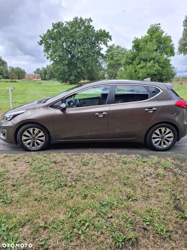 Kia Ceed - 1