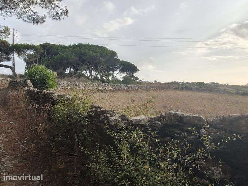 Terreno murado São João das Lampas - Grande imagem: 5/6