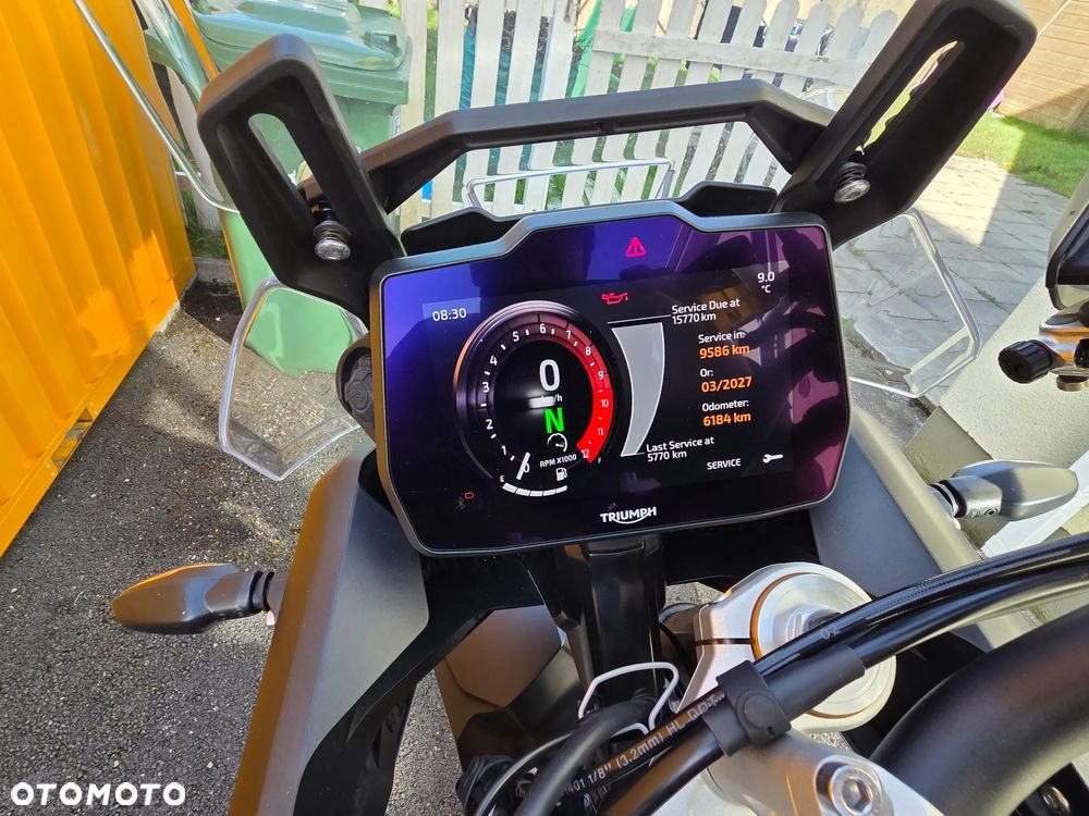 Triumph Tiger - 17