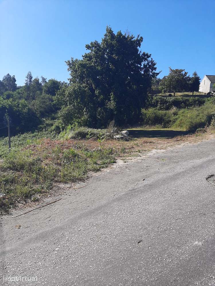 Terreno urbano Meinedo Lousada - Grande imagem: 4/12