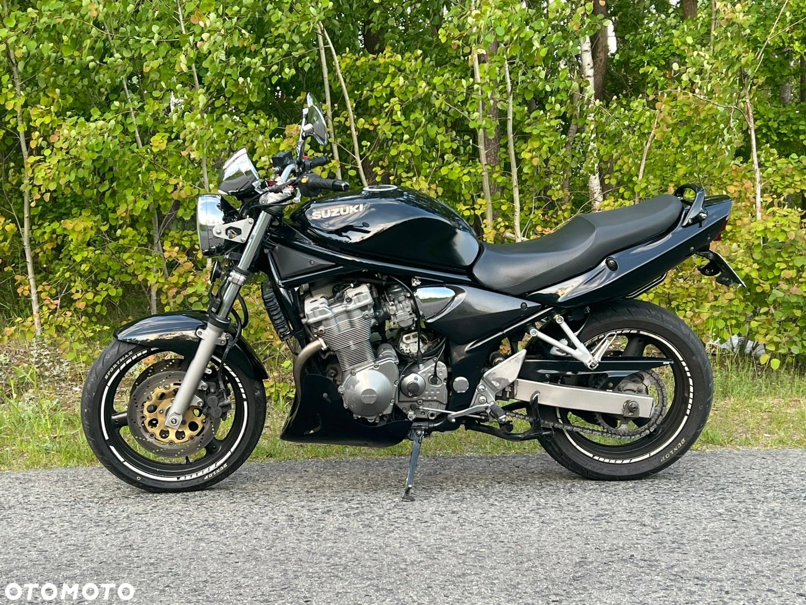 Suzuki Bandit - 10
