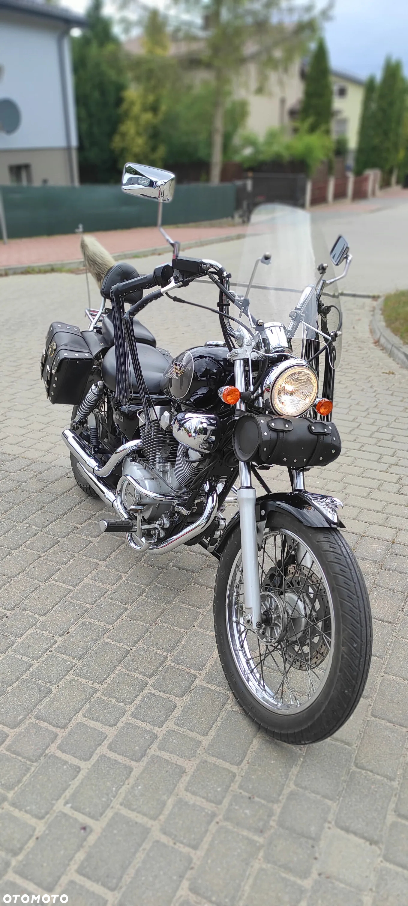 Yamaha Virago - 2