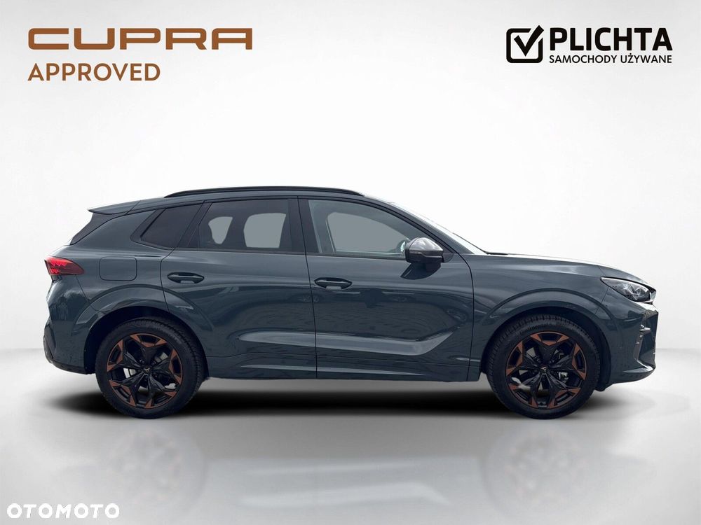 Cupra Terramar - 7
