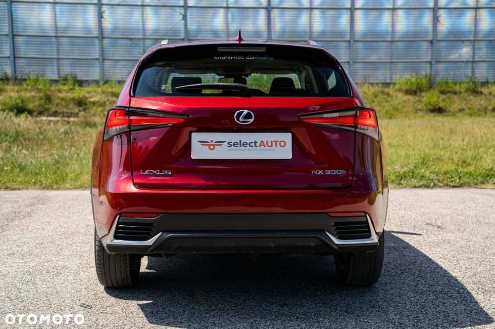 Lexus NX 300h Business Edition AWD - 6