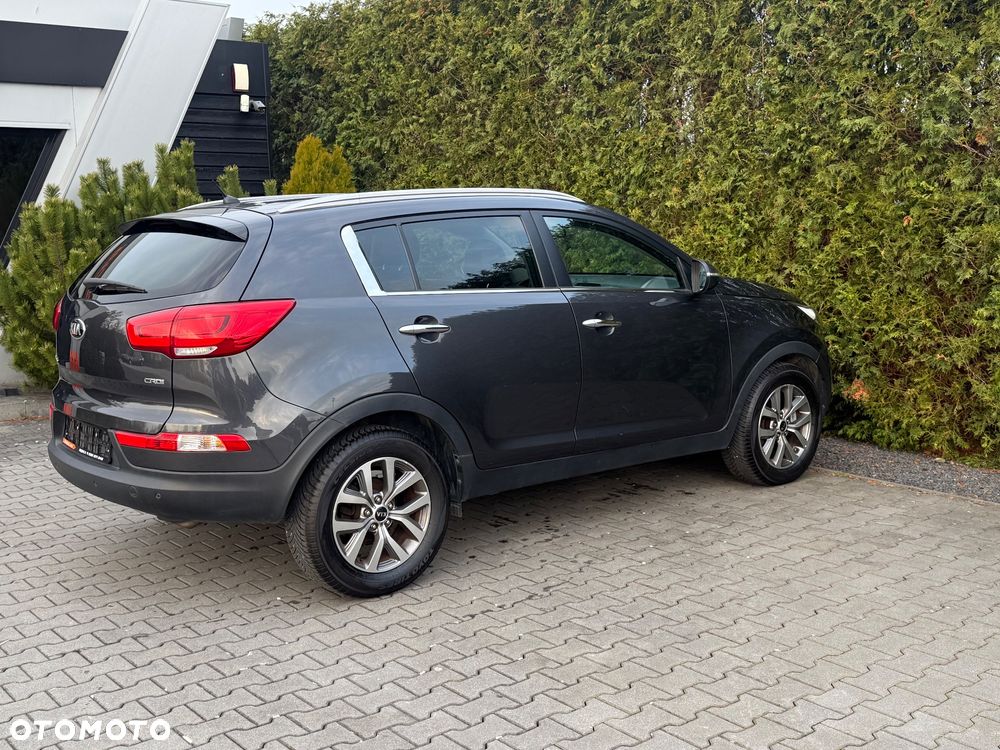 Kia Sportage - 14