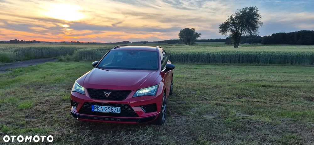 Cupra Ateca - 14
