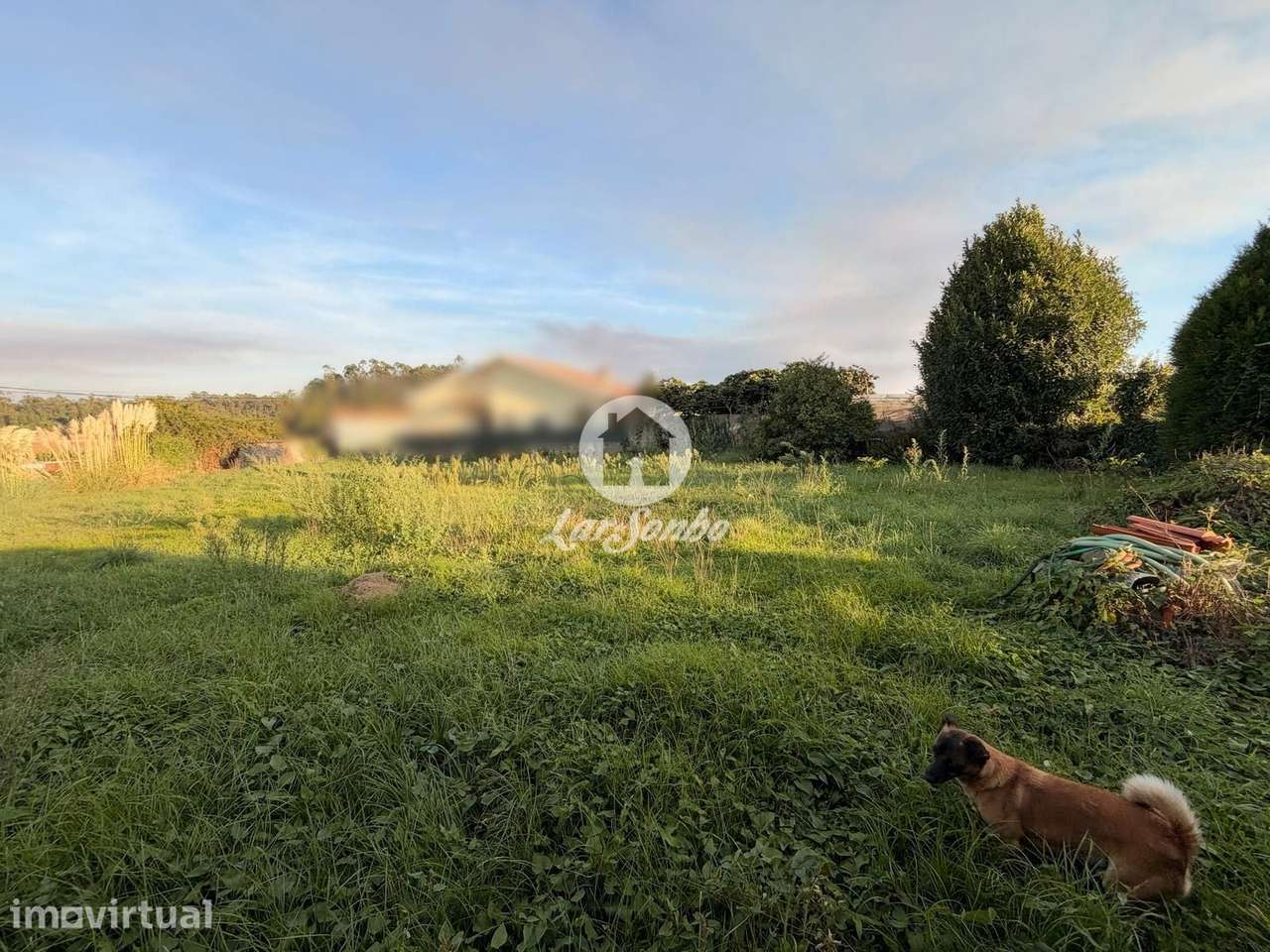 Lote de 745 m² para construção de moradia em Macieira da Maia, Vila... - Grande imagem: 5/6