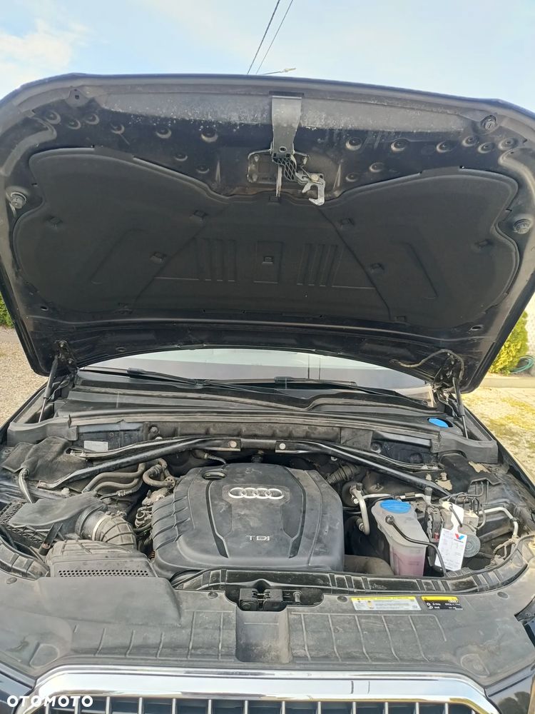 Audi Q5 2.0 TDI (clean diesel) ultra - 19