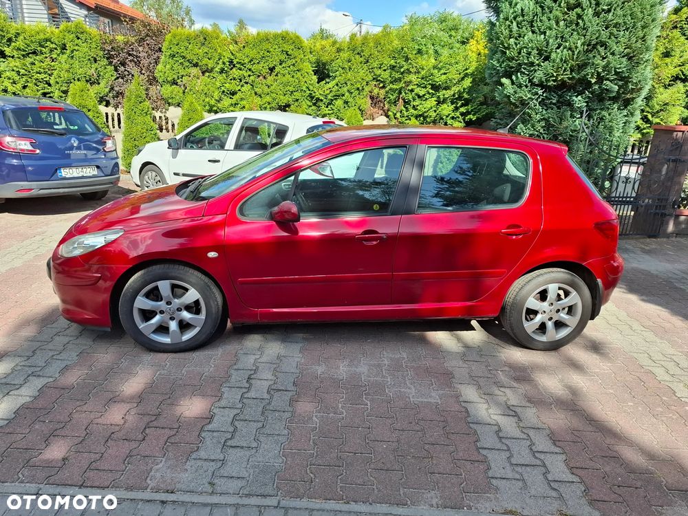 Peugeot 307 1.6 HDI Oxygo - 39