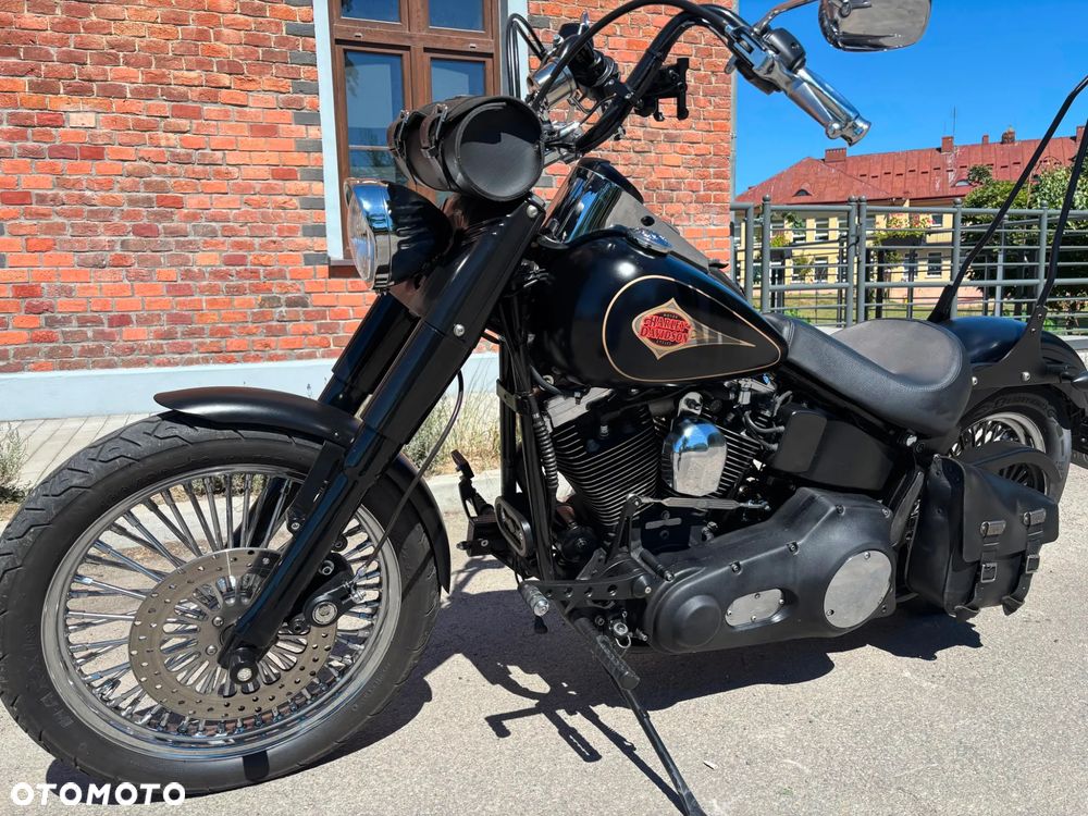 Harley-Davidson Softail Custom - 9