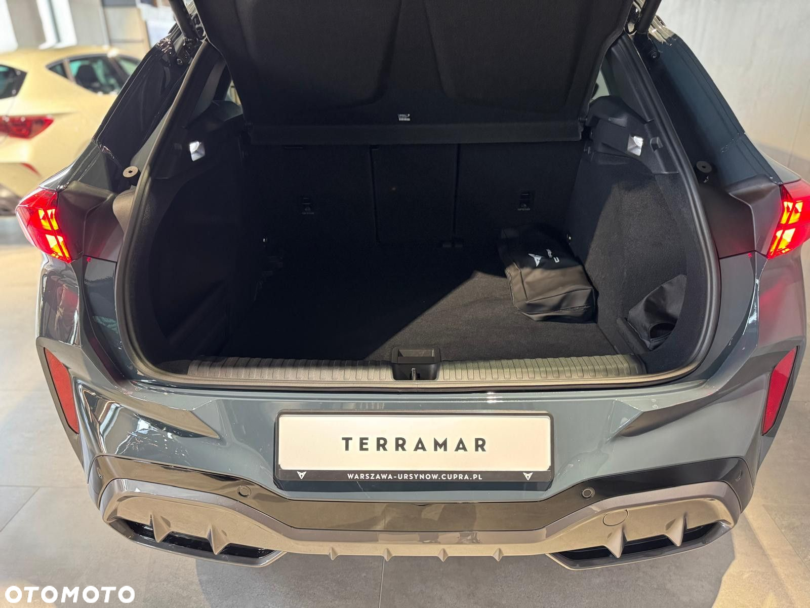Cupra Terramar - 7