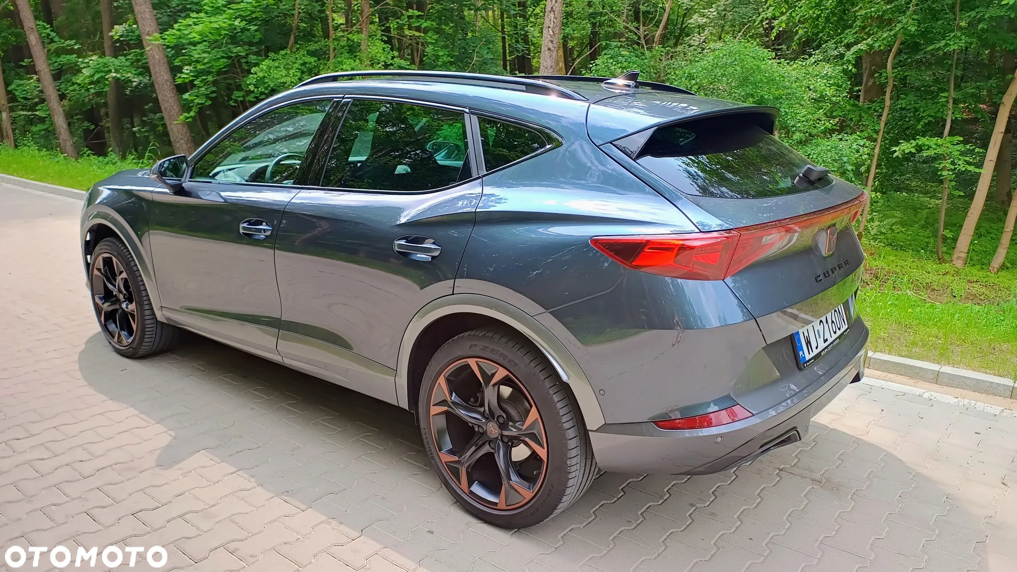 Cupra Formentor 2.0 TDI 4Drive DSG - 18