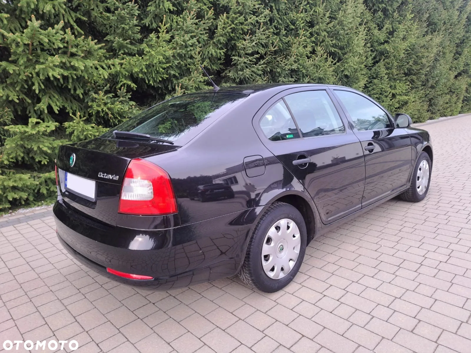 Skoda Octavia - 3
