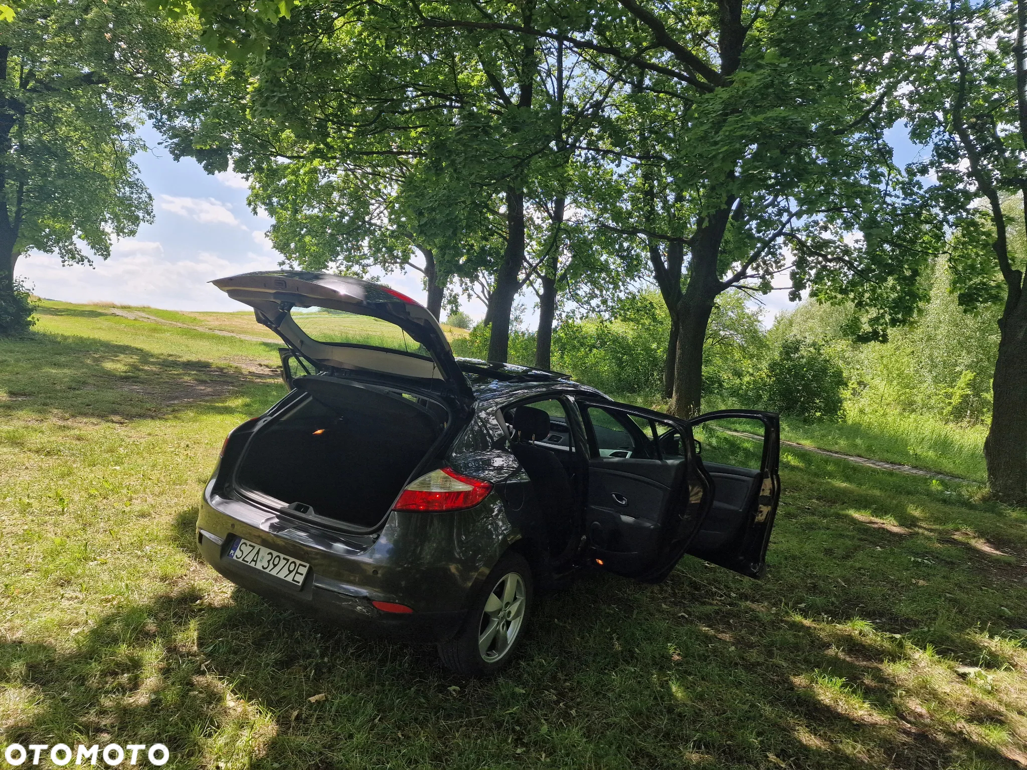 Renault Megane - 20