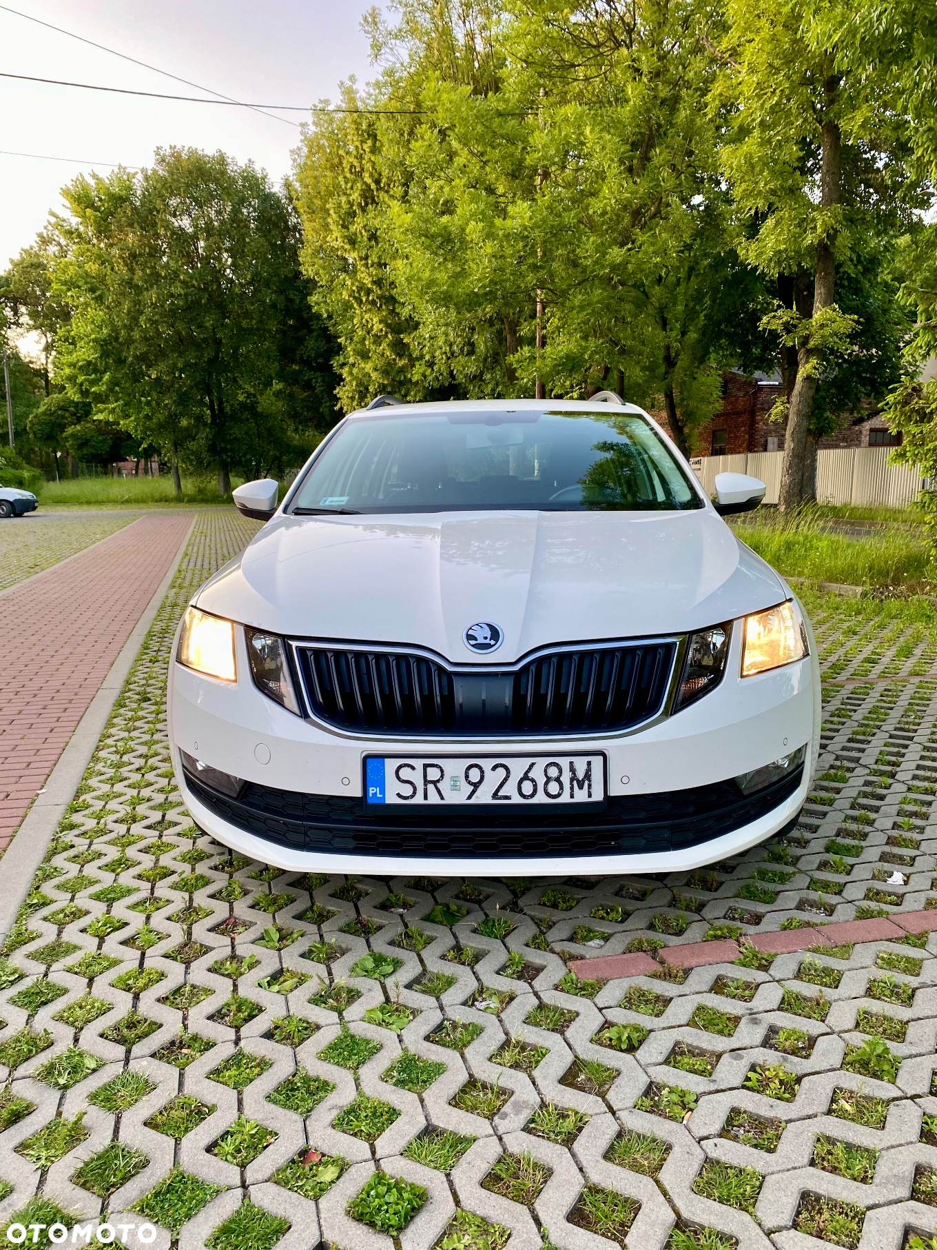 Skoda Octavia - 2