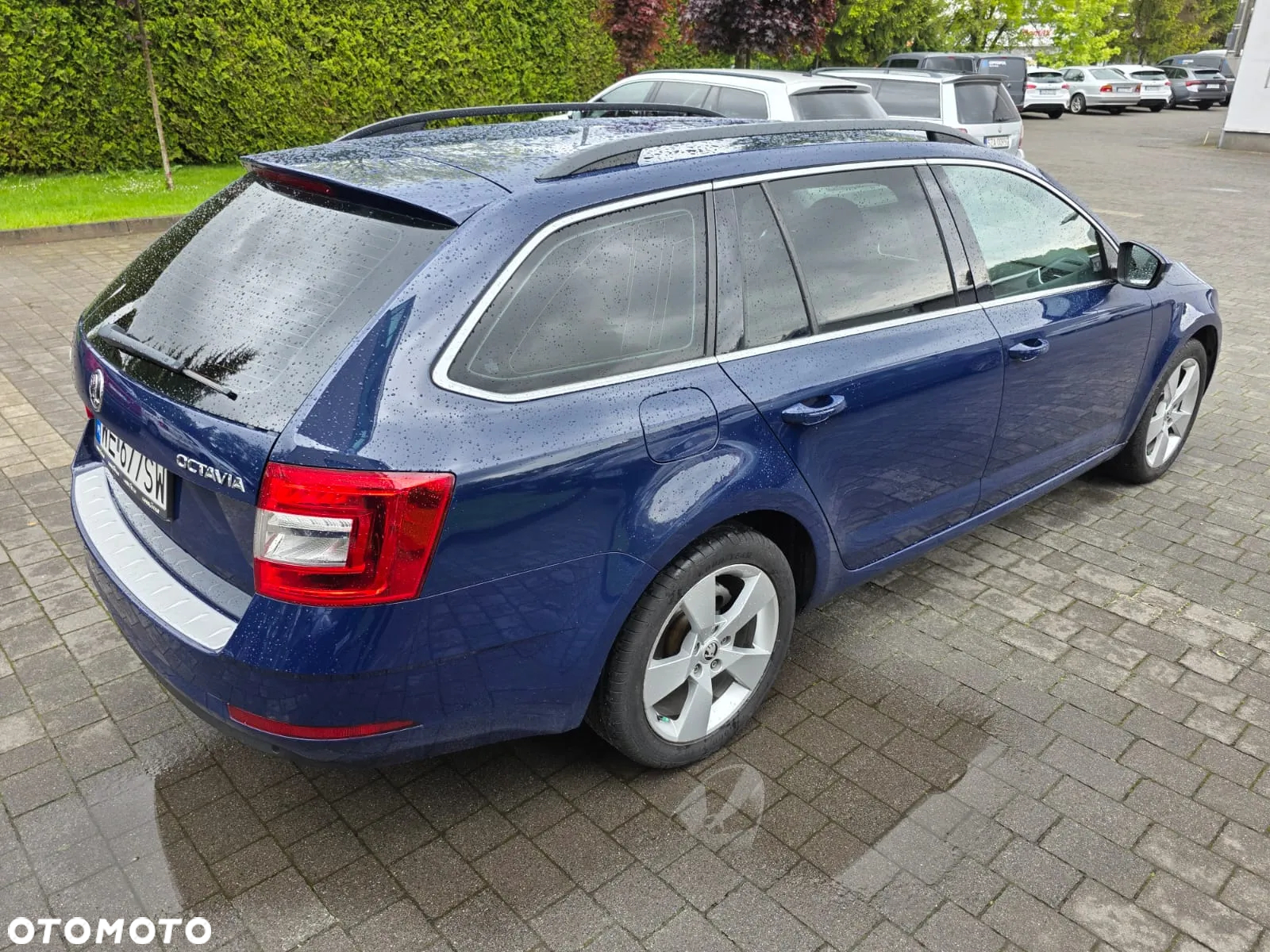 Skoda Octavia - 10