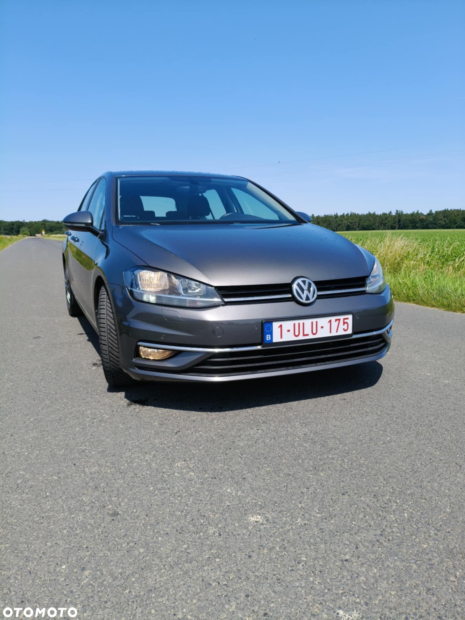 Volkswagen Golf VII 1.6 TDI BMT Comfortline - 8