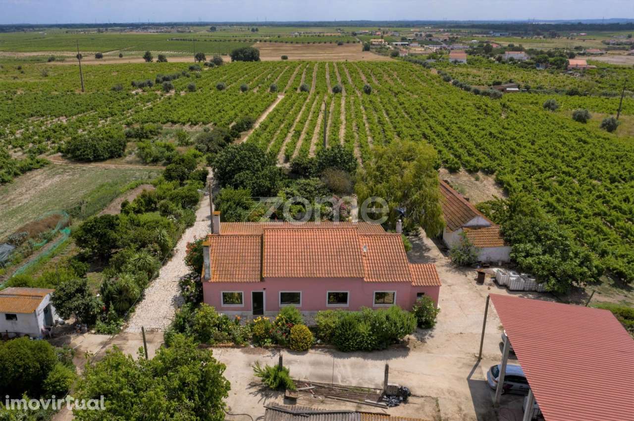 Herdade D. Alda - vinhas prestigiadas e premiadas! - Grande imagem: 5/23