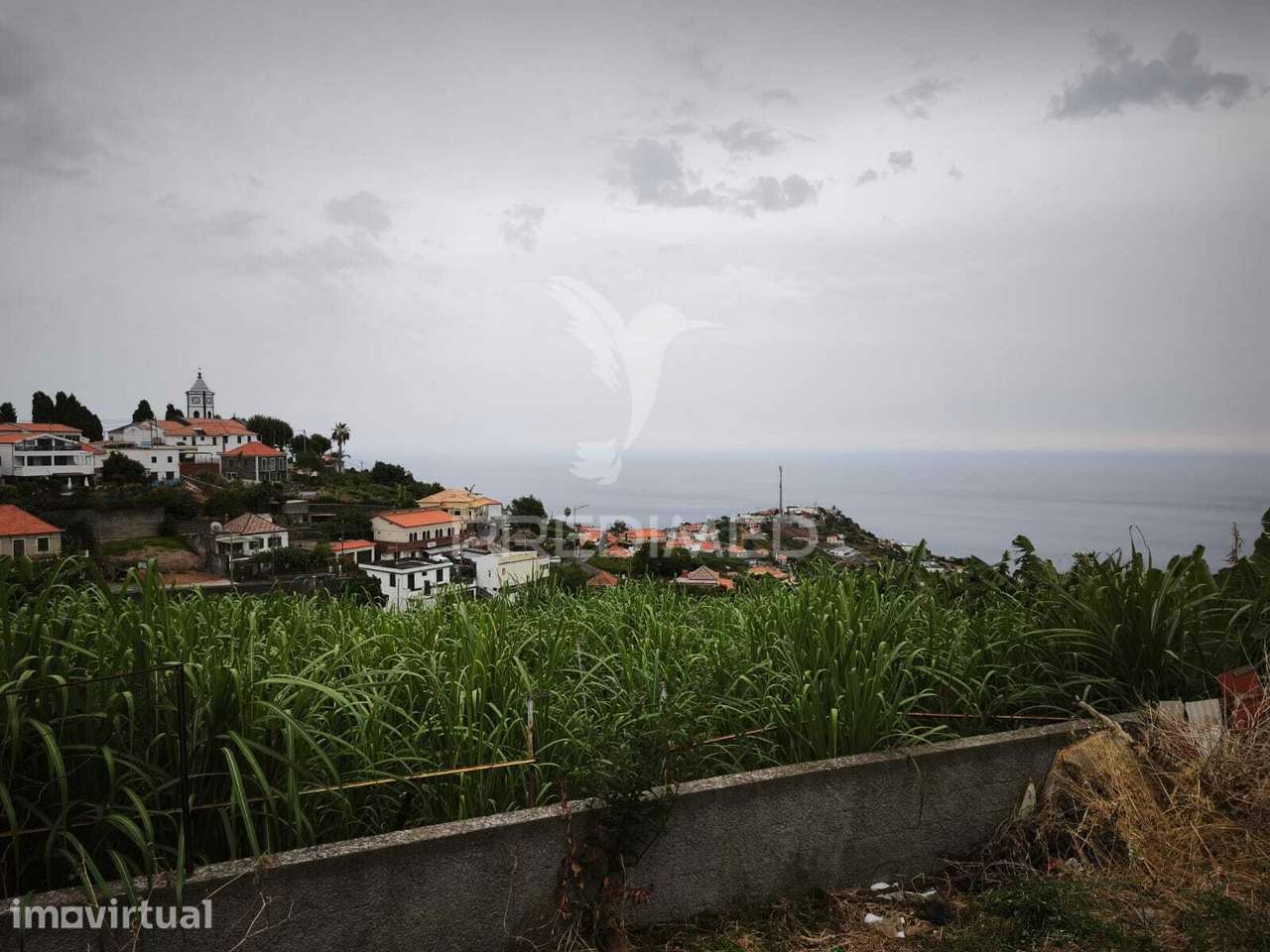 VENDO TERRENO PONTA DO SOL | 900 m² | VISTA MAR - Grande imagem: 3/6