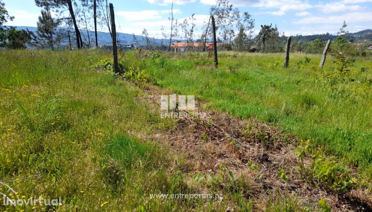 Venda Terreno, Fregim, Amarante - Grande imagem: 4/28
