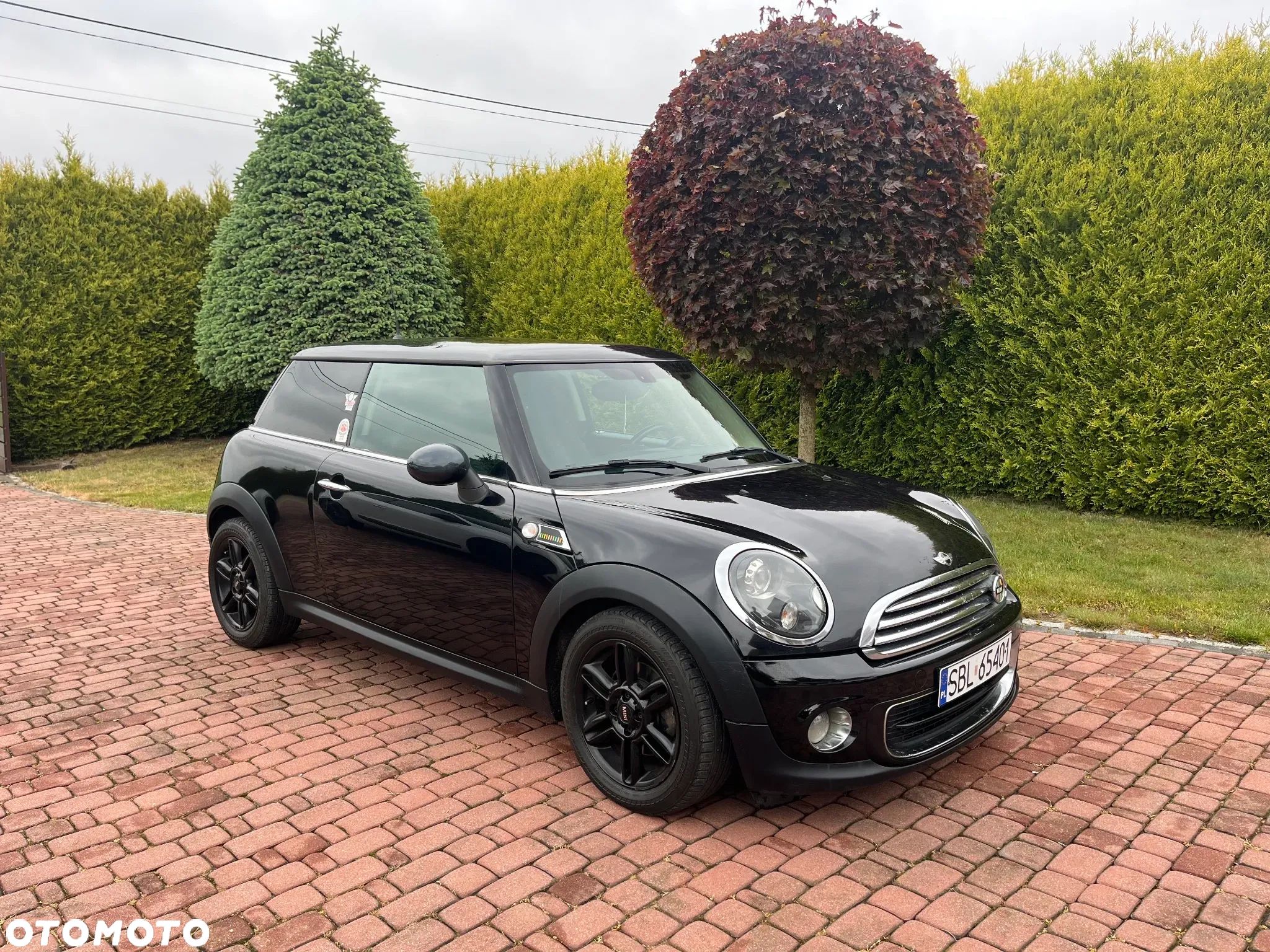 MINI ONE Standard - 1