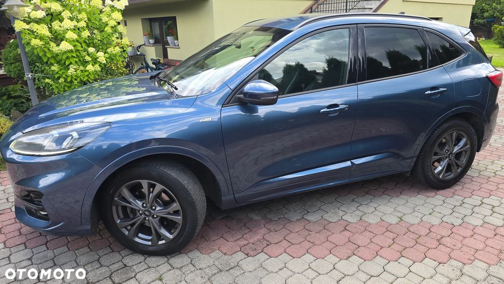 Ford Kuga 2020 photo 2
