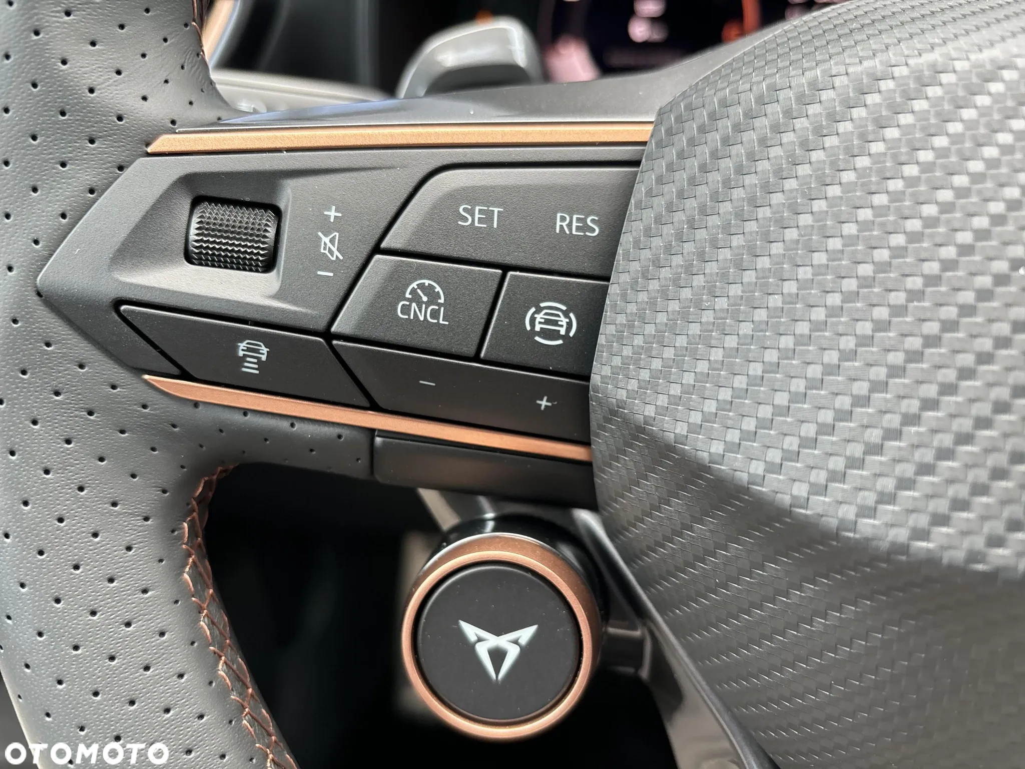 Cupra Formentor 1.5 TSI DSG - 18