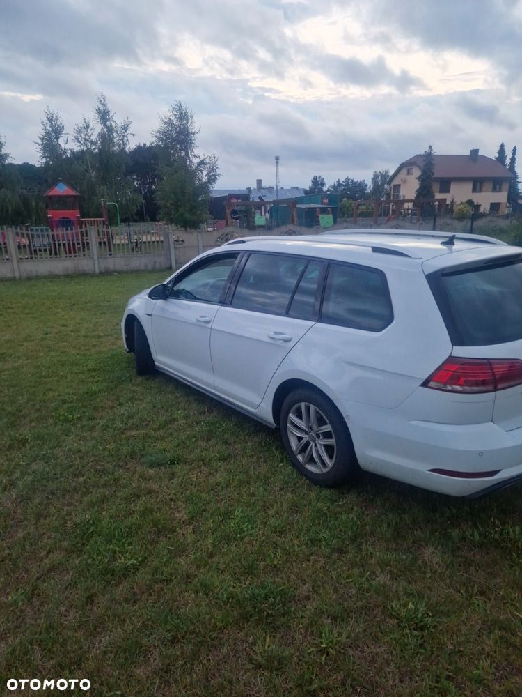 Volkswagen Golf - 8
