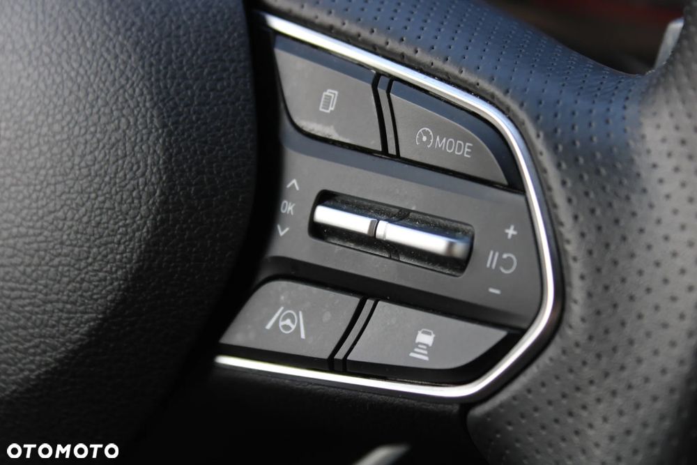 Hyundai Santa Fe 1.6 T-GDI HEV Platinum 4WD - 25
