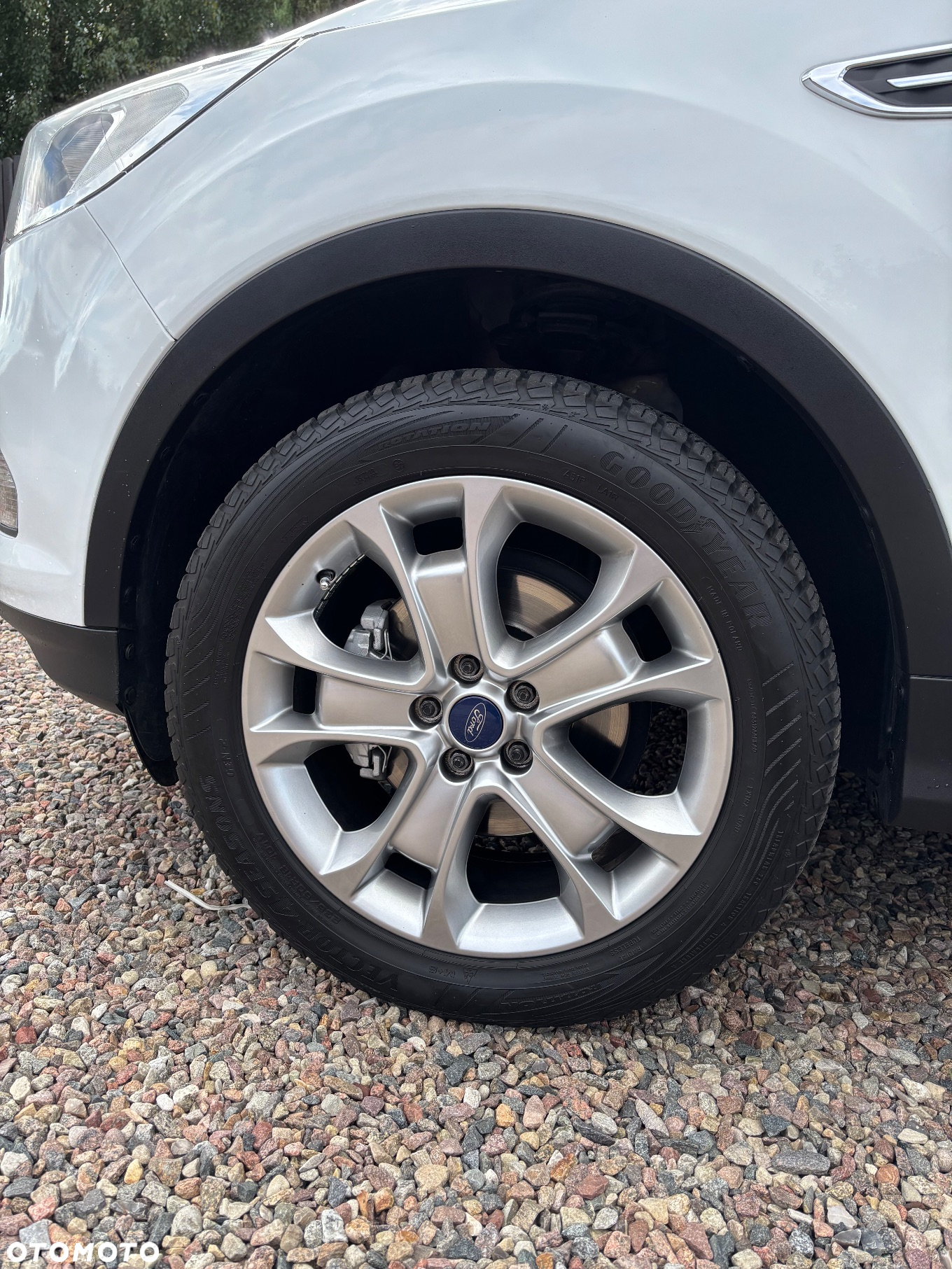 Ford Kuga 1.5 EcoBoost FWD Trend ASS - 17