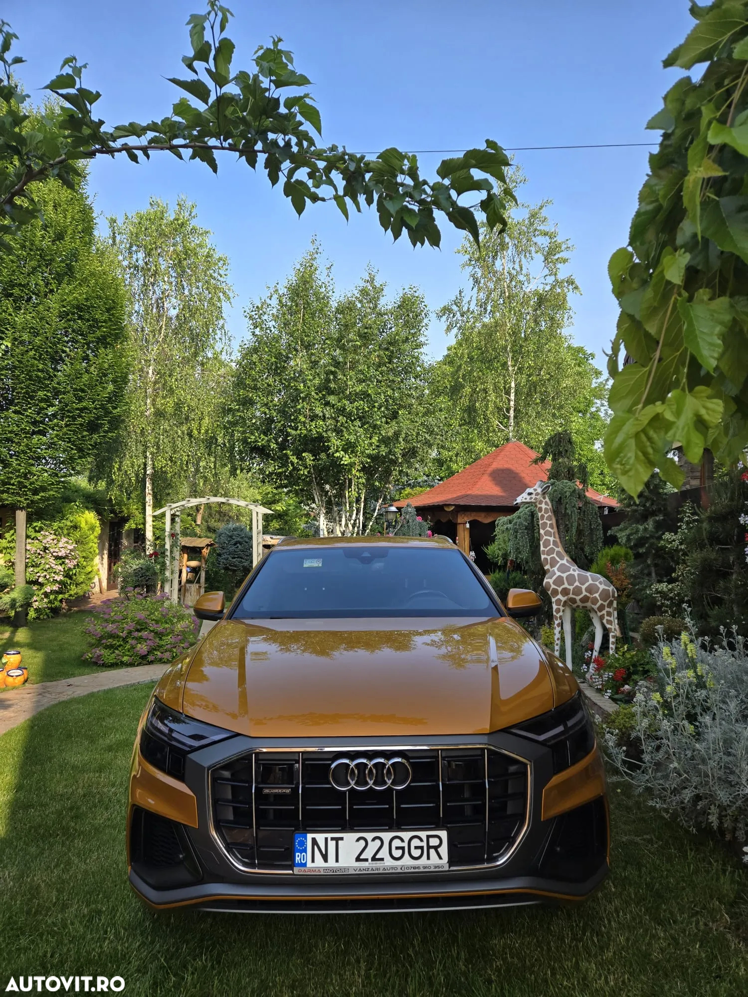 Audi Q8 - 4