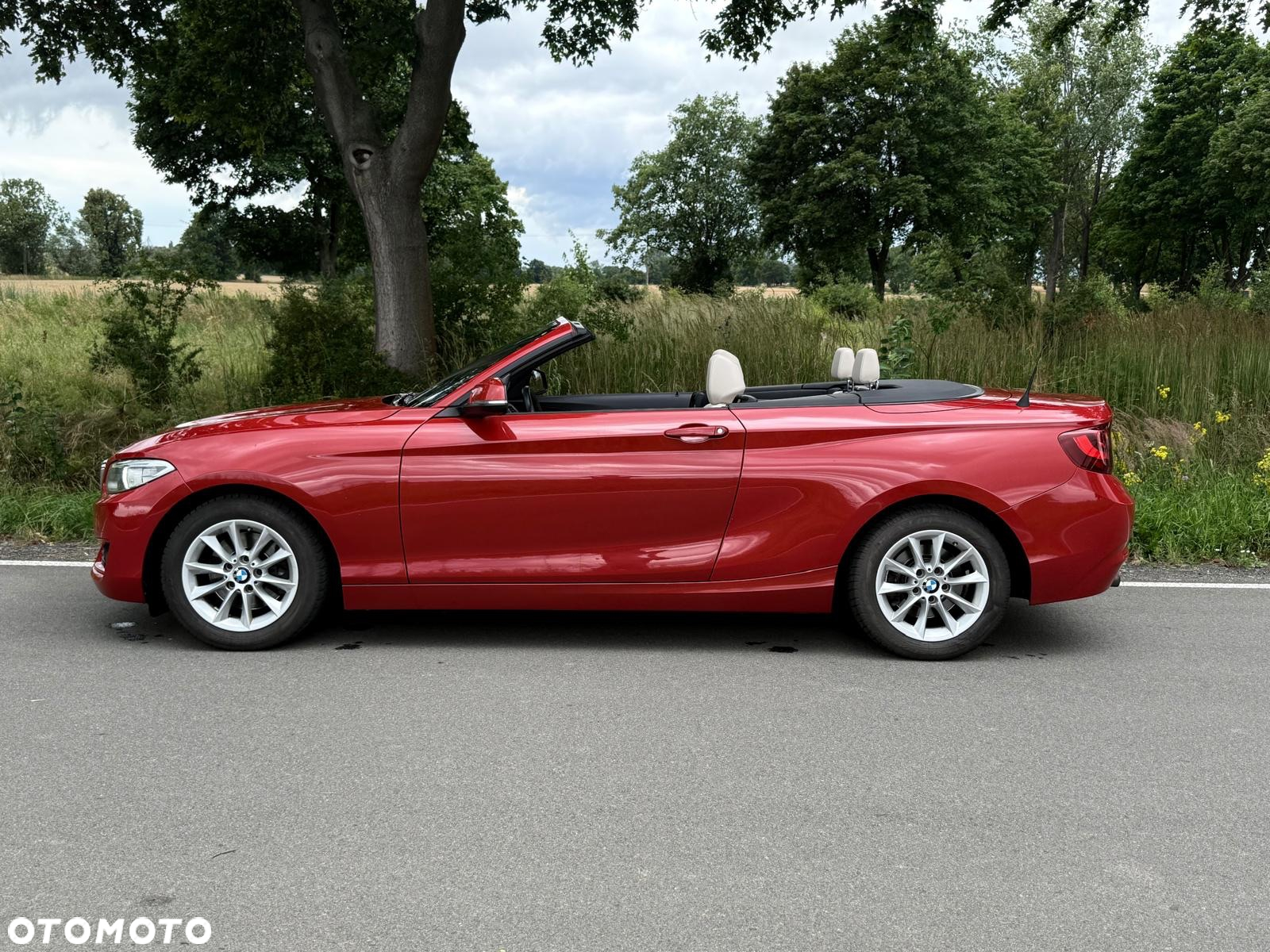 BMW Seria 2 220i Coupe Luxury Line - 9