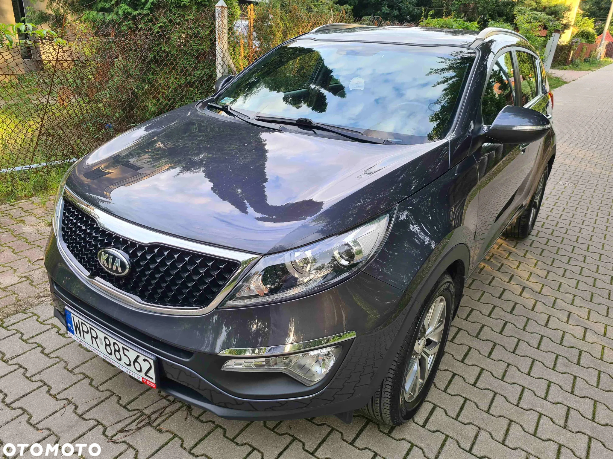 Kia Sportage 1.6 GDI Business Line L 2WD - 4