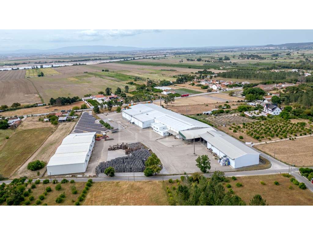 Complexo industrial com armazéns para vender, em Chamusca - Grande imagem: 2/28