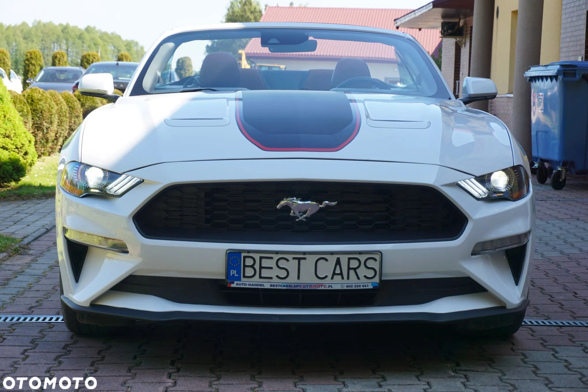 Ford Mustang Cabrio 2.3 Eco Boost - 17