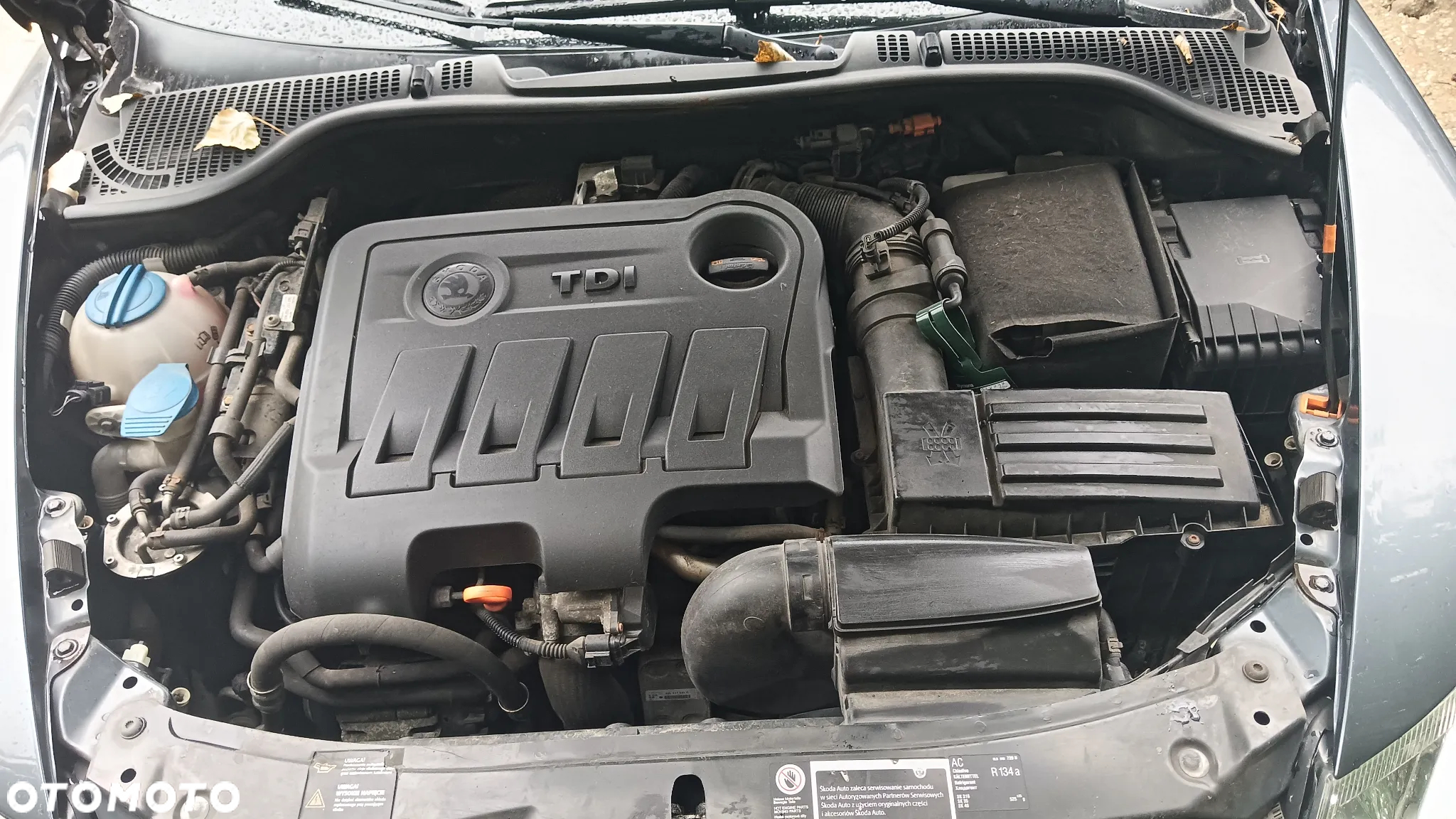 Skoda Octavia Scout 2.0 TDI DPF DSG - 9