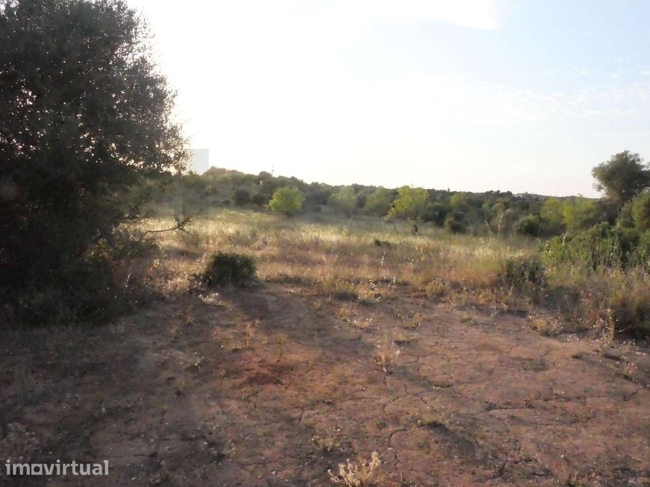 2 Terrenos rústicos confinantes em Vale da Vila, Silves, Algarve - Grande imagem: 5/19