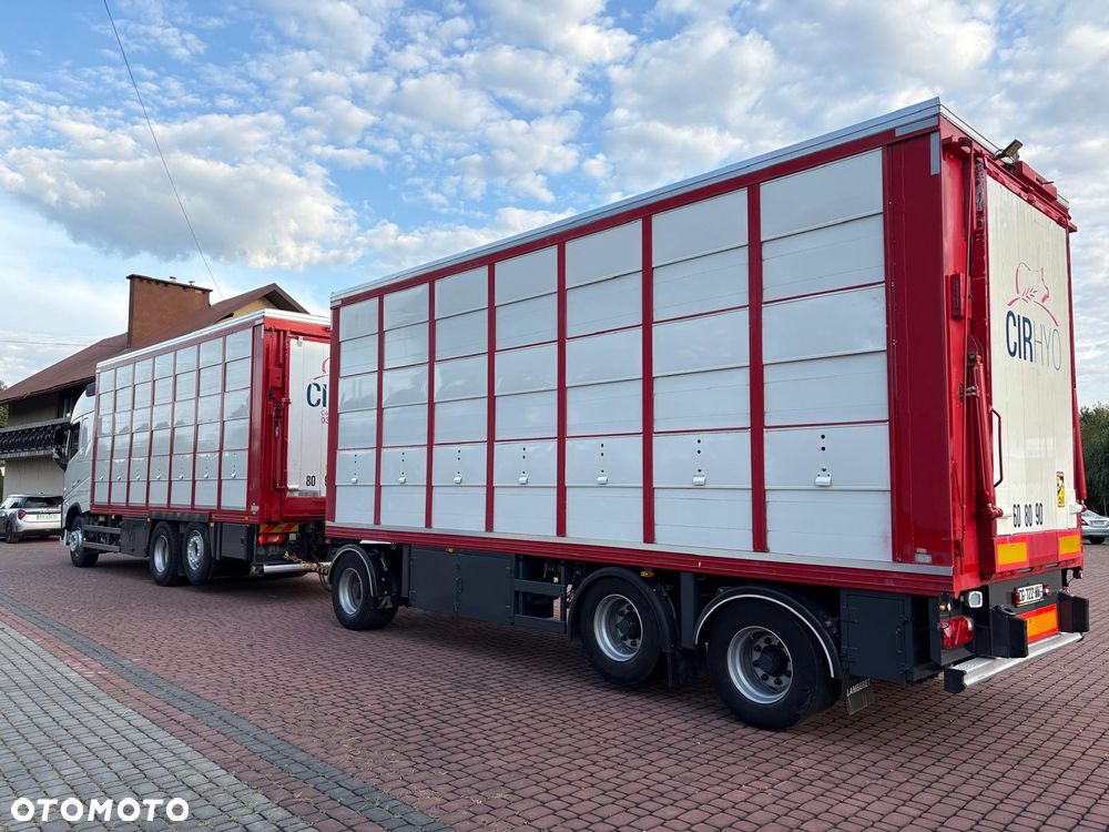 Volvo FH 500* DO BYDŁA ŚWIŃ ŻYWCA* GUITTON* DACH PODNOSZONY* 3 POKŁADY* SUPER STAN* - 4
