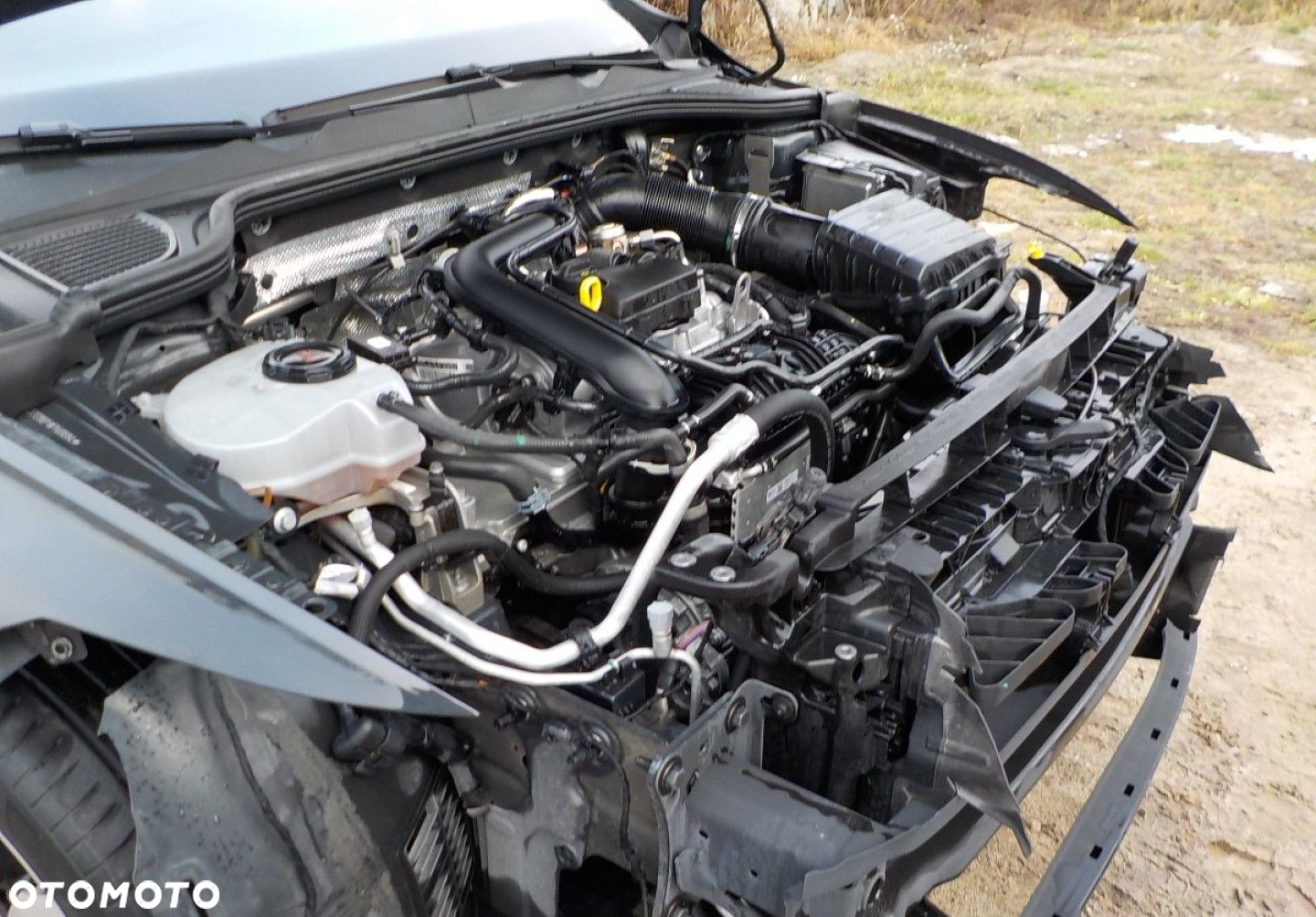 Volkswagen Golf - 5
