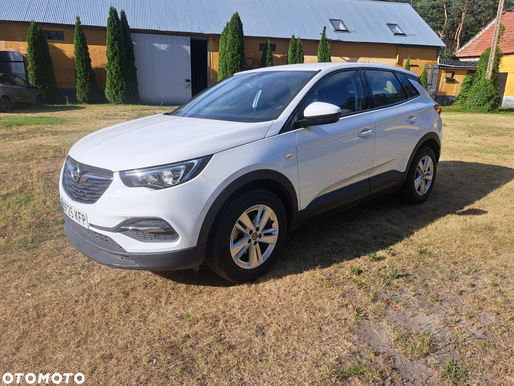 Opel Grandland X 1.6 CDTI Innovation S&S - 2