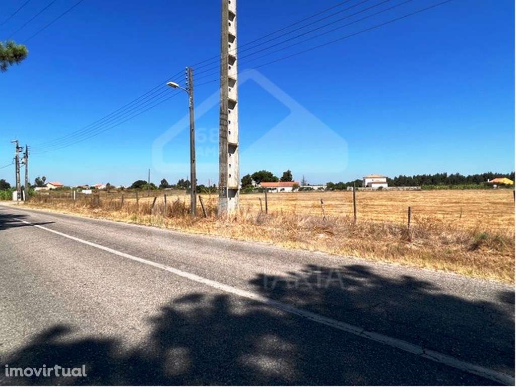 Terreno na Coutada Velha, Benavente - Grande imagem: 3/4