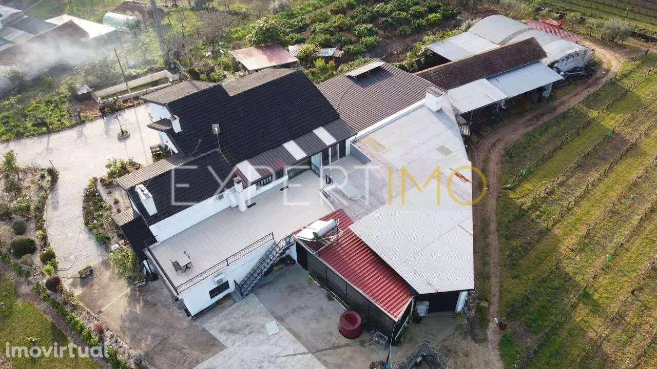 Quinta com moradia T4, anexos, área de lazer, vinhas em 19.000m2 de... - Grande imagem: 2/24