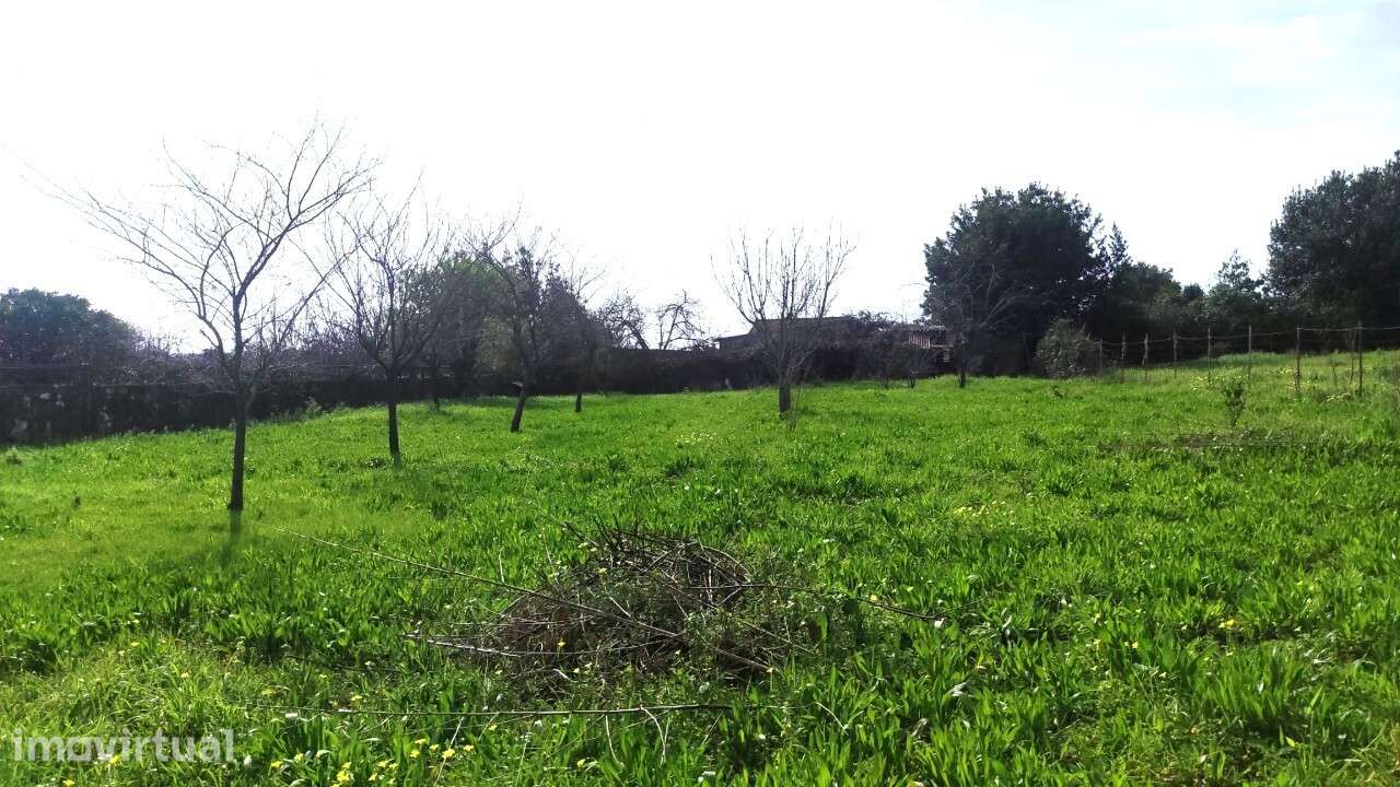 Terreno em S. João da Madeira - Grande imagem: 2/15