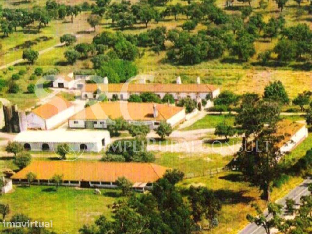 Herdade Histórica com 173 Hectares - Grande imagem: 2/60
