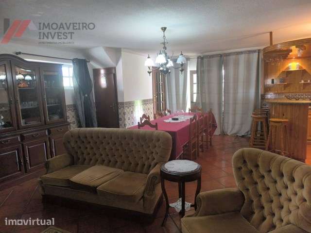 Quinta com Moradia Isolada e 4.450m² de Terreno Oiã Oliveira d Bairro - Grande imagem: 3/53
