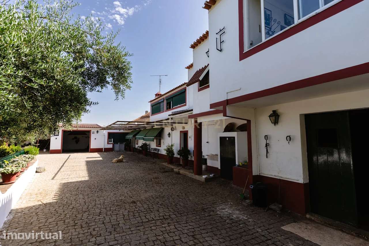 Quinta em  São Brás e São Lourenço - Grande imagem: 4/39