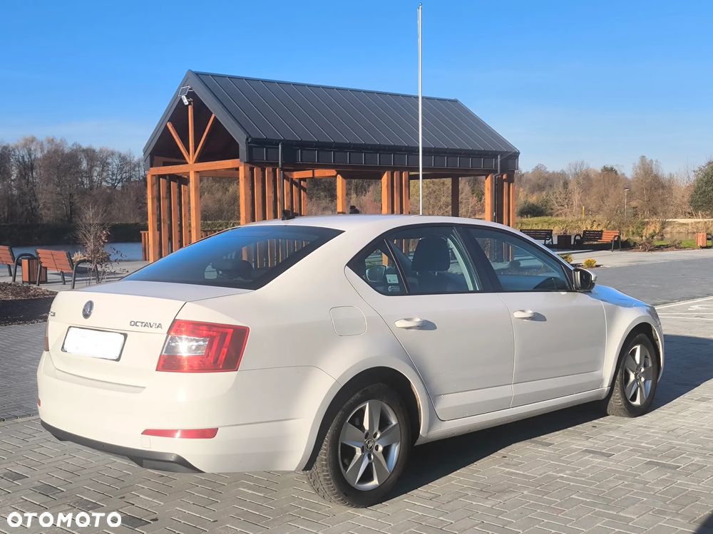 Skoda Octavia 1.6 TDI Edition - 17