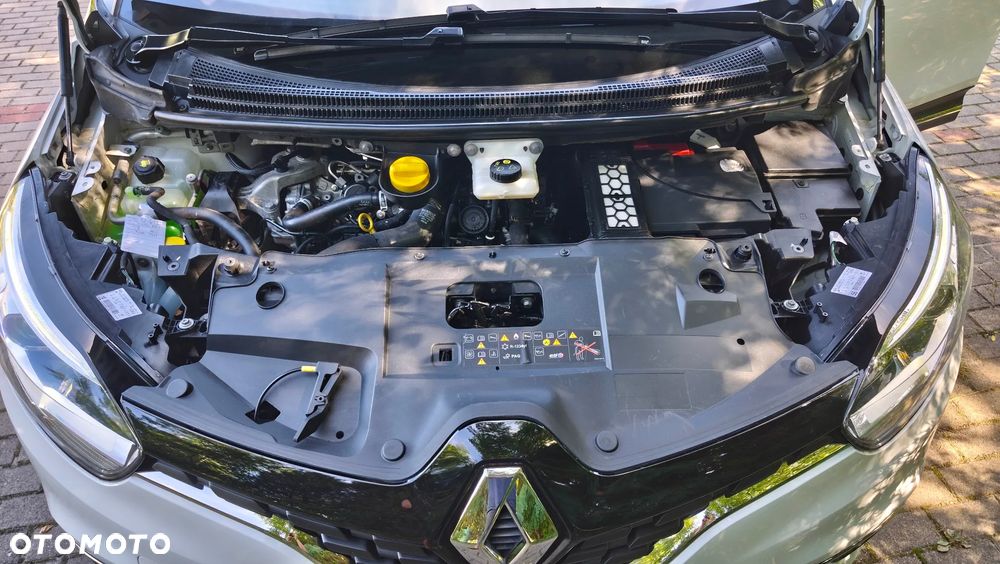 Renault Scenic - 34