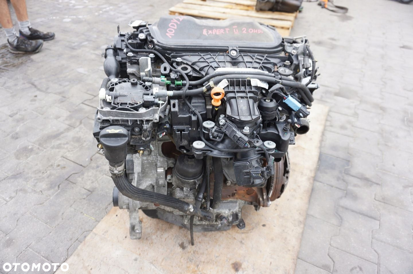 SILNIK 10DYZG PEUGEOT EXPERT II 2.0 HDI KOMPLETNY 103 TYŚ KM - 8